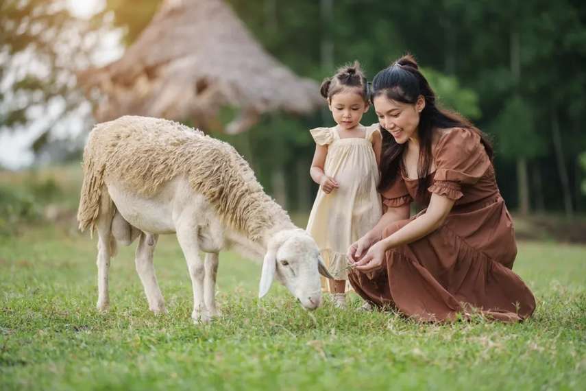 Best places to visit for babies and toddlers in North Wales