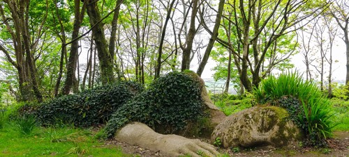 1. The Lost Gardens of Heligan 