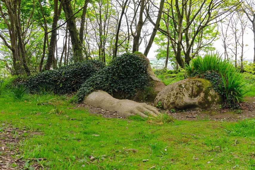 1. The Lost Gardens of Heligan 