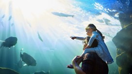 A father and his little daughter looking at an exhibit in an aquarium.