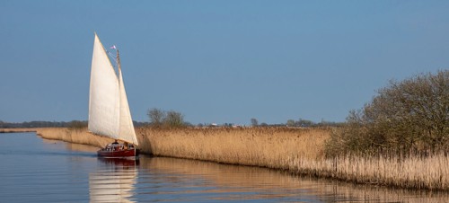 2. North Walsham and Dilham Canal Boat Tours