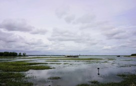 Riverside Country Park, Medway