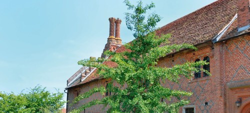 8. Layer Marney Tower, Layer Marney