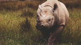 Best attractions in South Wales