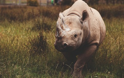 Best attractions in South Wales
