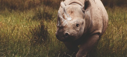 Best attractions in South Wales