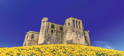 Warkworth Castle