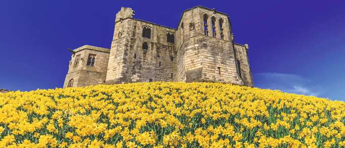 Warkworth Castle