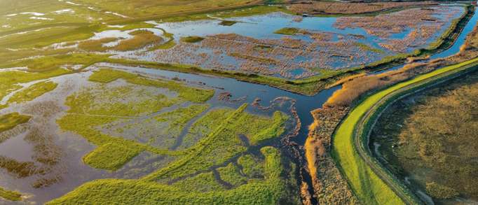 Oare Marshes Nature Reserve, near Oare