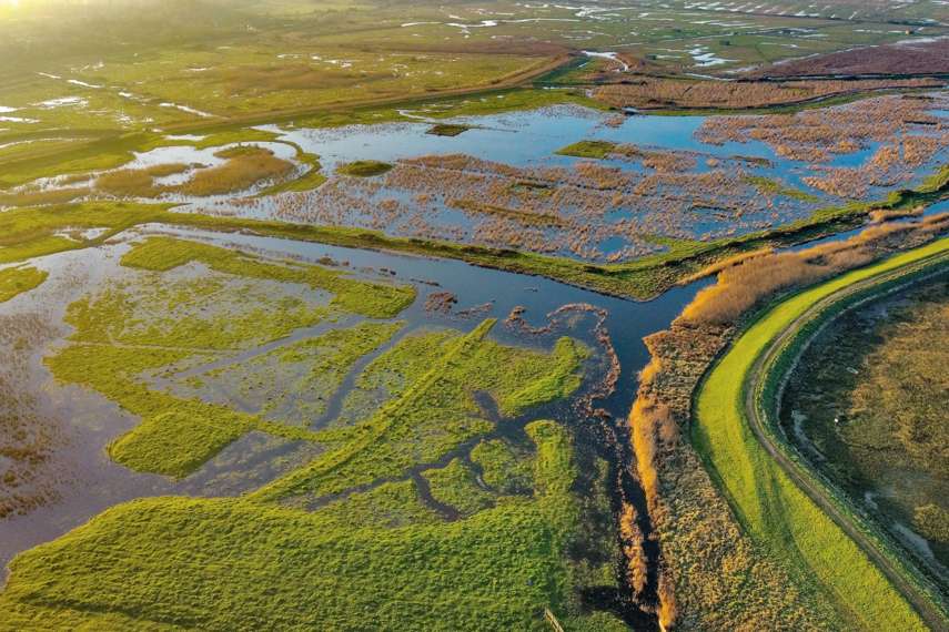Oare Marshes Nature Reserve, near Oare