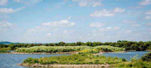RSPB Cliffe Pools, near Cliffe