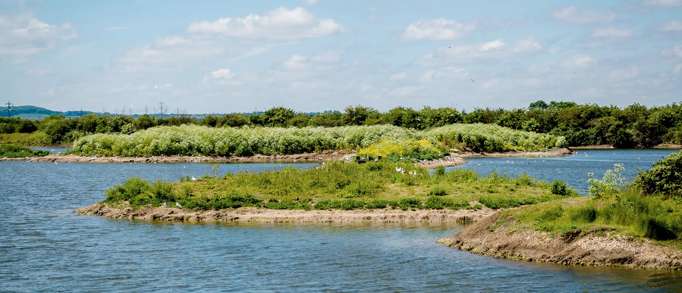 RSPB Cliffe Pools, near Cliffe