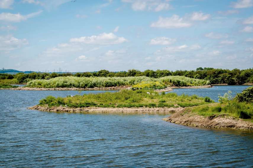 RSPB Cliffe Pools, near Cliffe