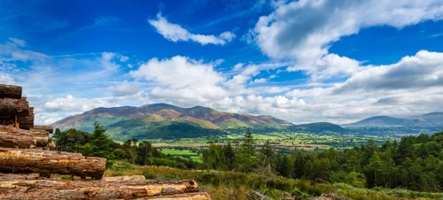Whinlatter Forest Park 
