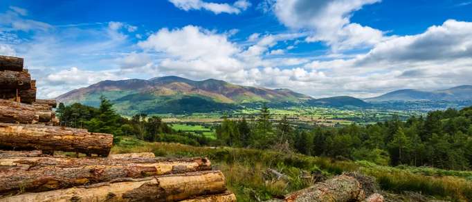 Whinlatter Forest Park 