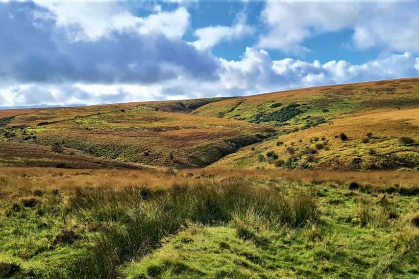 2. Dunster Exmoor National Park Centre