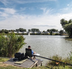 Activities for adults