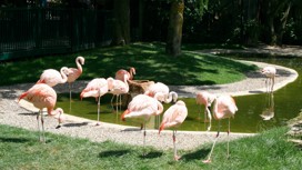 Drusillas Park in Alfriston, Sussex