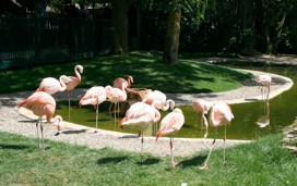 Drusillas Park in Alfriston, Sussex