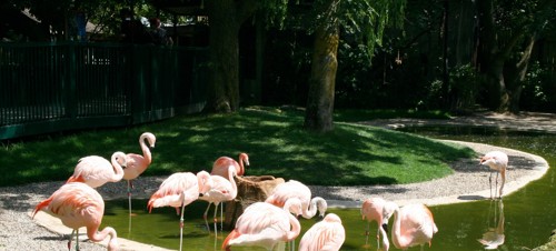 7. Drusillas Park, Alfriston 