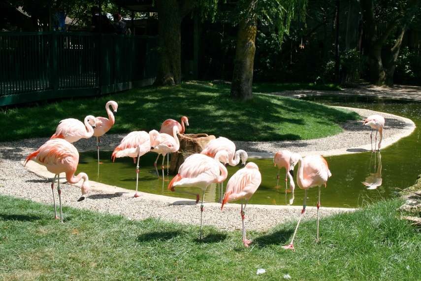 7. Drusillas Park, Alfriston 