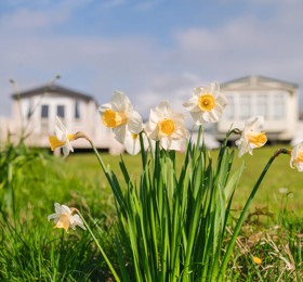 Early Spring breaks at Haven