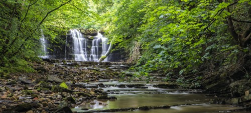 2. Forest of Bowland 