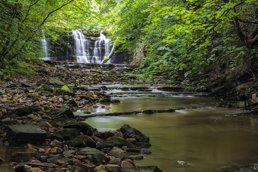 2. Forest of Bowland 