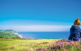 Bridport sea view