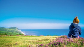 Bridport sea view