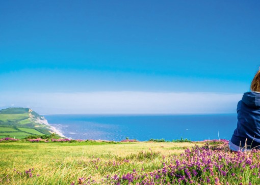 Things to do in Bridport