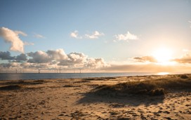 Beach at Seashore