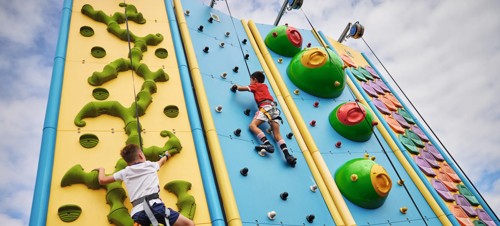 Climbing Wall