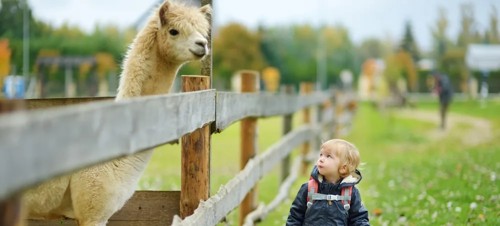 3 Best cafes for babies and toddlers in Lincolnshire