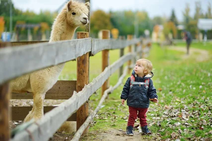 3 Best cafes for babies and toddlers in Lincolnshire