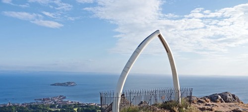 3. North Berwick Law walk