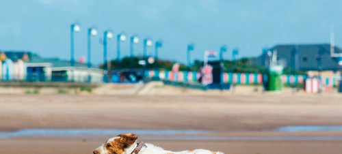 Ingoldmells Beach, Ingoldmells