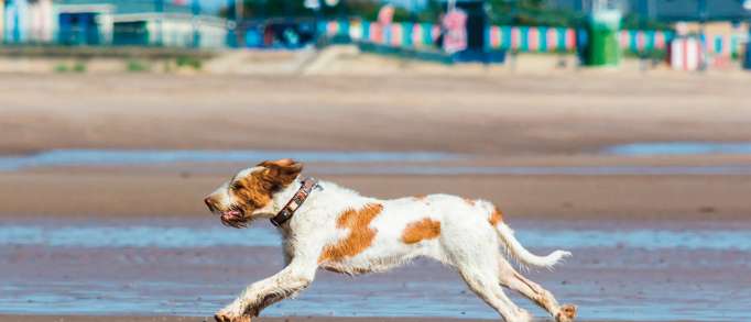 Ingoldmells Beach, Ingoldmells
