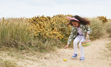 Can you solve the clues?