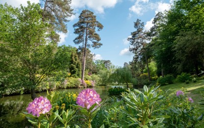 Flowers in Horham, Sussex