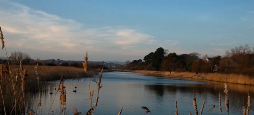 9. RSPB Radipole Lake Nature Reserve 