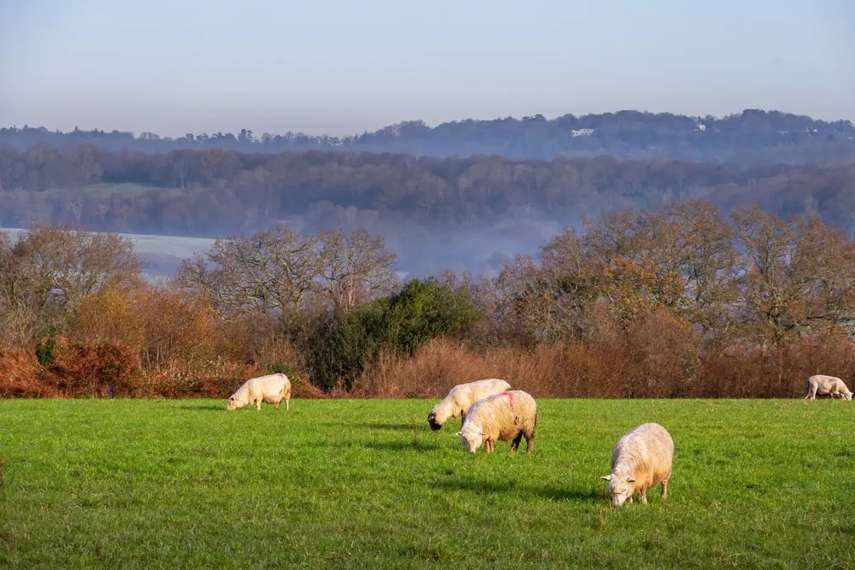 10. High Weald AONB 