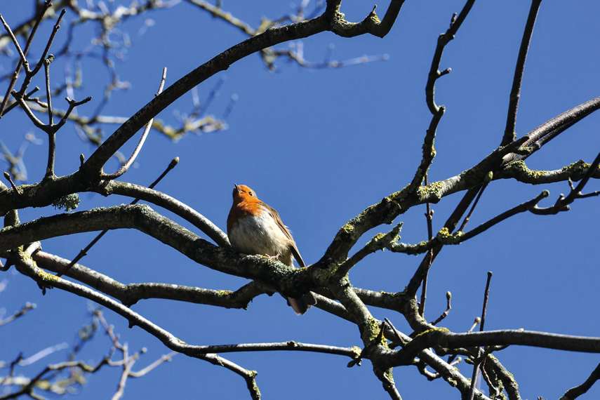 8. Northernhay Gardens