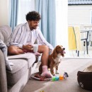 Dogs welcome at Seashore