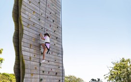 Climbing Wall