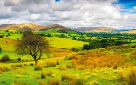 Exmoor National Park, Somerset