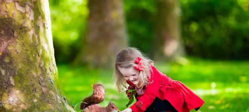 Best places to visit for kids aged 4-11 in Dorset 