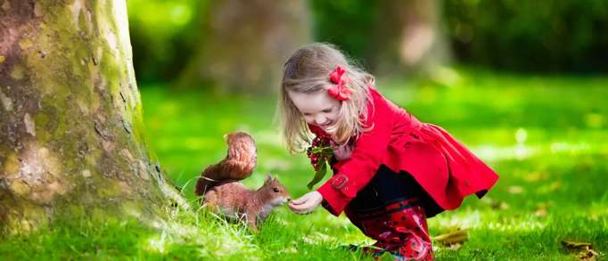 Best places to visit for kids aged 4-11 in Dorset 