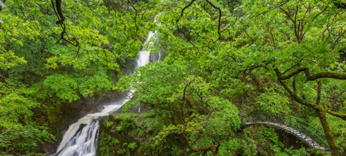 Devil’s Bridge Falls 