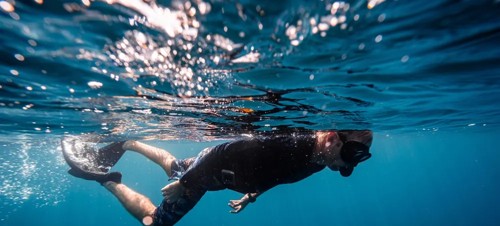 Snorkel or Dive at St. Abbs